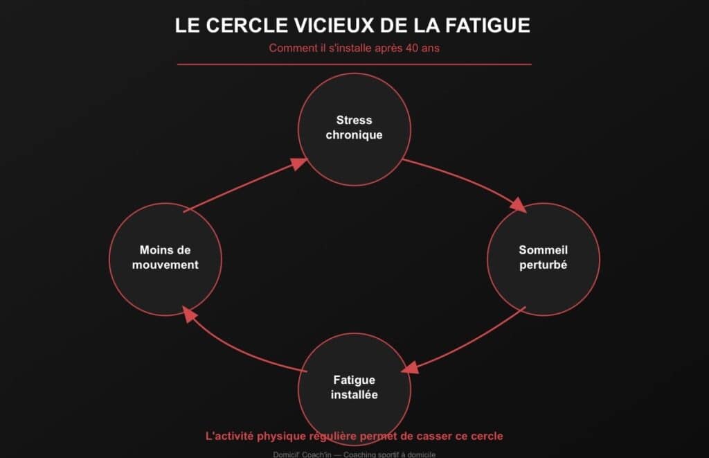 Plus d'énergie après 40 ans - retrouver la forme et la vitalité.