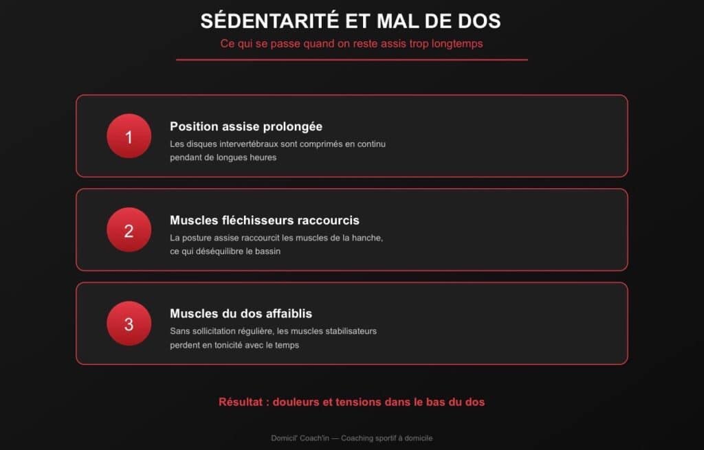 Sédentarité et mal de dos après 40 ans - mécanisme expliqué