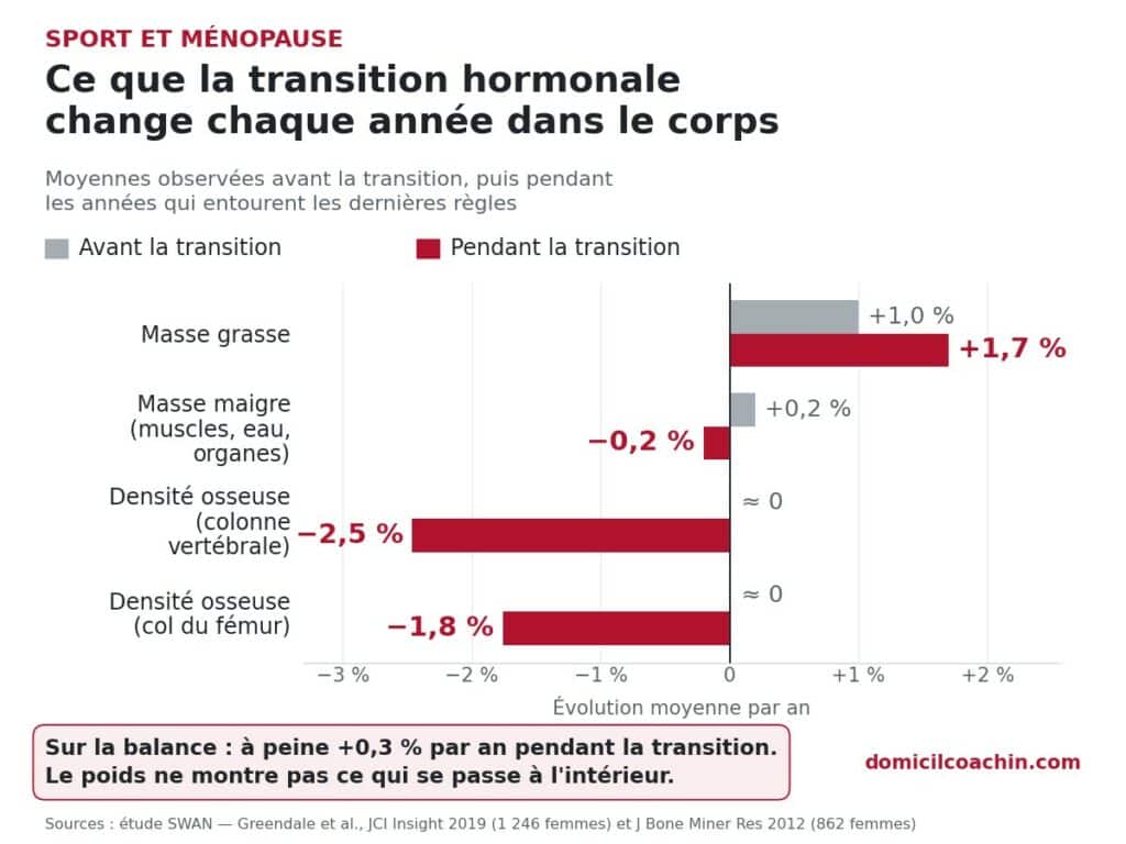 sport et ménopause : ce qui change dans le corps pendant la transition hormonale