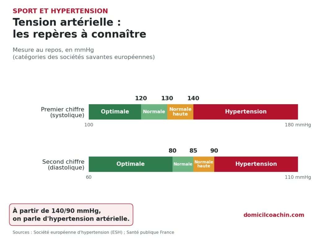 sport et hypertension : les repères de tension artérielle à connaître